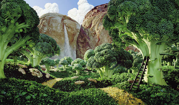 Food Scape, paysage de nourriture