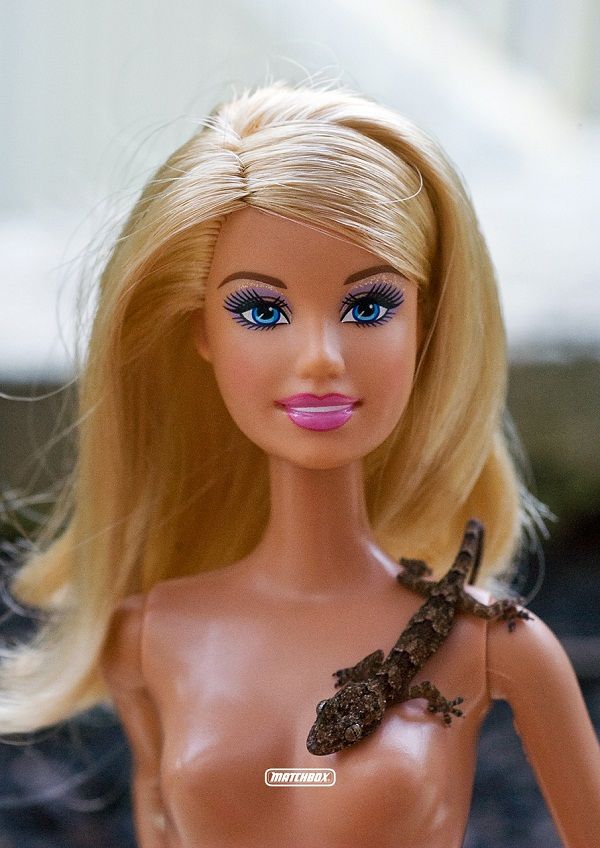 Calendrier Barbie nues