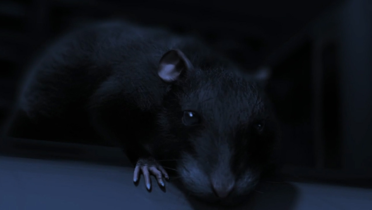 One Short Rat