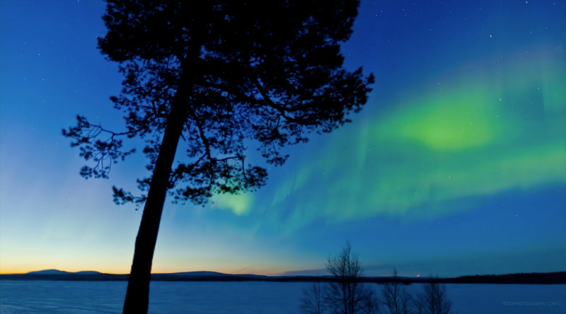 The Aurora The Aurora