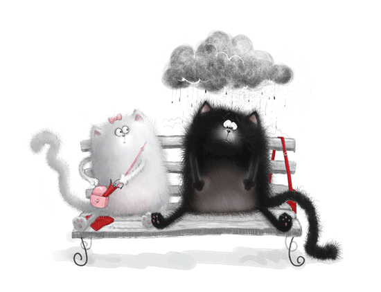 Illustrations de Rob Scotton