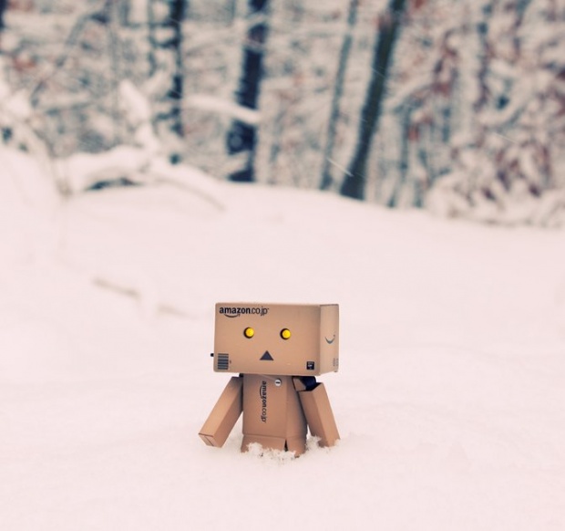 Wall-E & Danbo