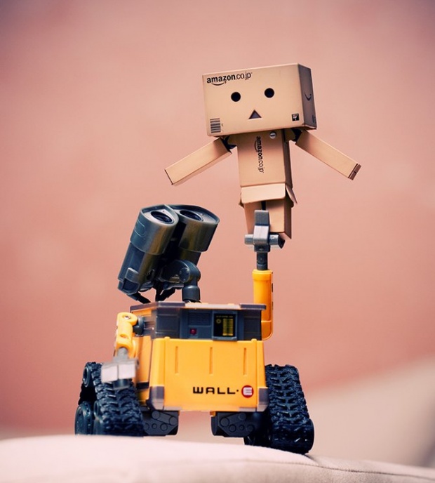 Wall-E & Danbo