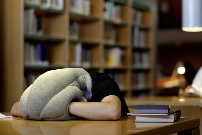 Ostrich Pillow - Kawamura Ganjavian