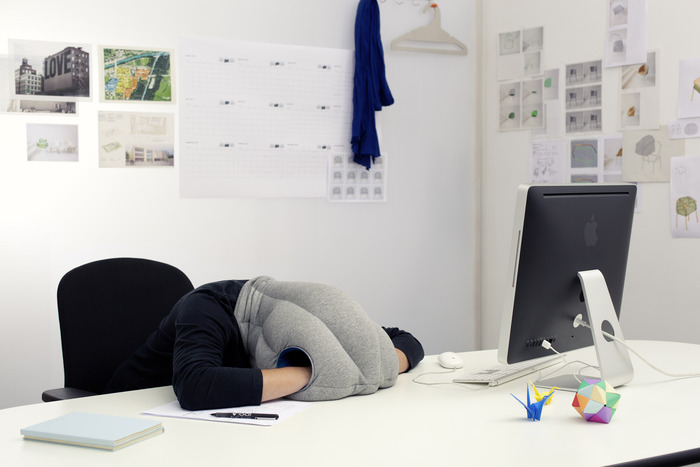 Ostrich Pillow - Kawamura Ganjavian