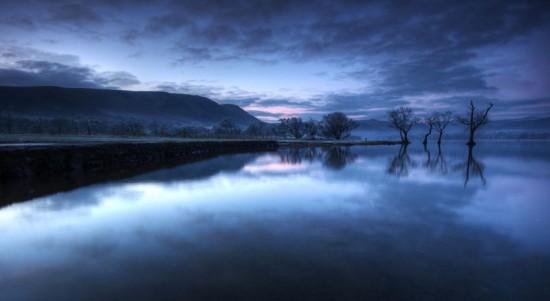 reflection_57440527_xyo