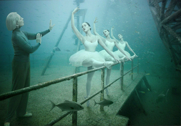 Shipwreck Art Gallery de Andreas Franke