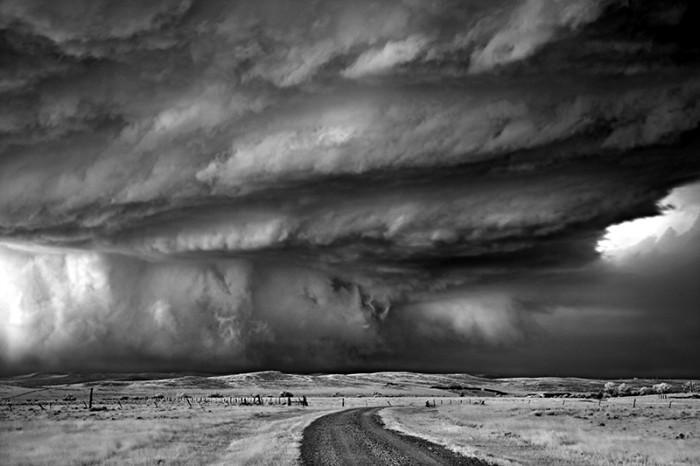 122318562-mitch-dobrowner-bearscage