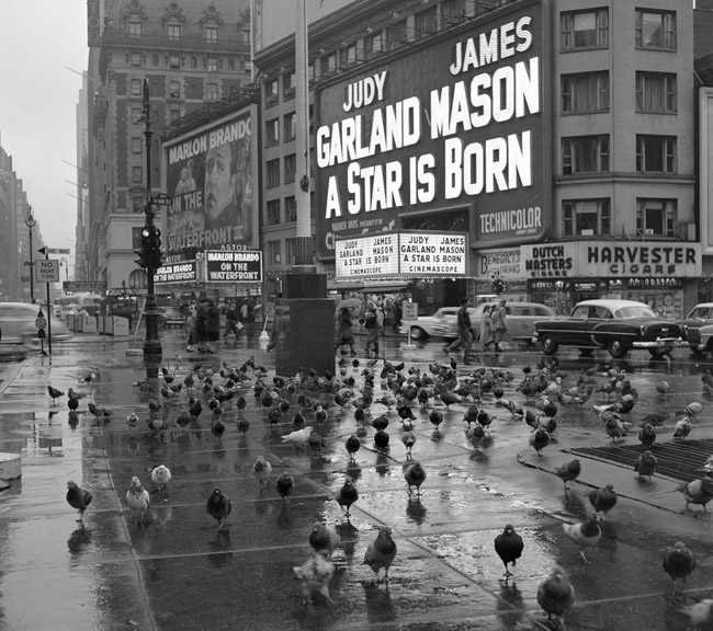 RAINY TIMES SQUARE