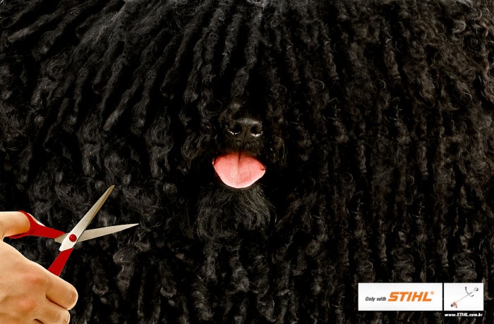 Stihl Dog