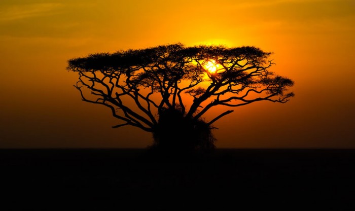 beauty-of-kenya08