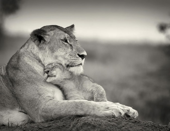 beauty-of-kenya11