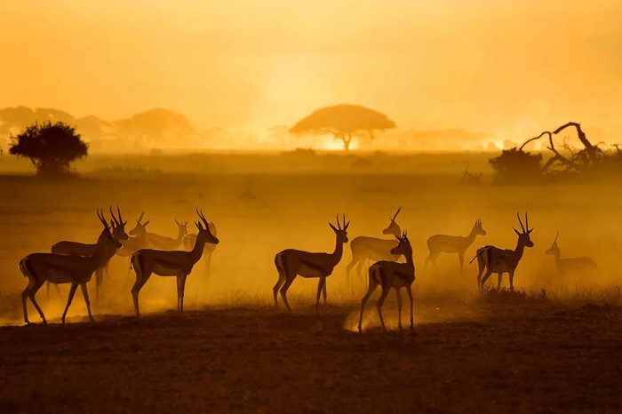 beauty-of-kenya33
