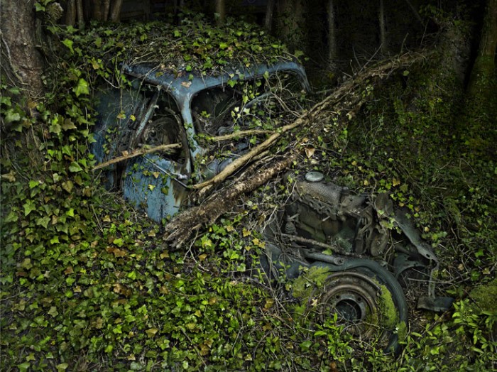 Paradise Parking de Peter Lippmann