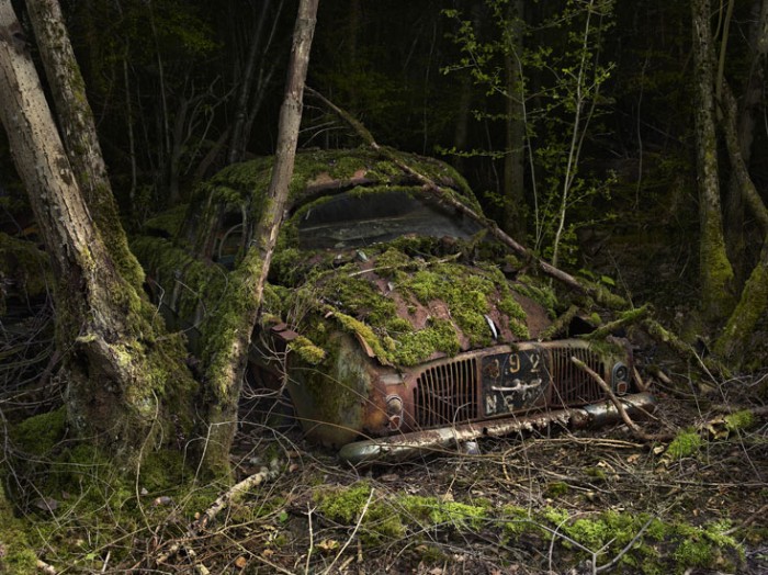 Paradise Parking de Peter Lippmann