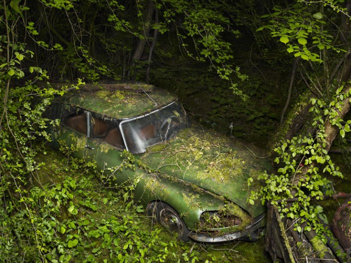 Paradise Parking de Peter Lippmann