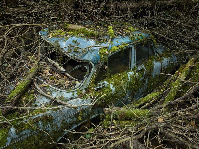 Paradise Parking de Peter Lippmann
