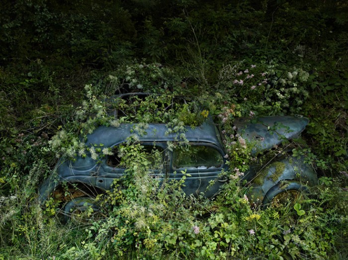 Paradise Parking de Peter Lippmann