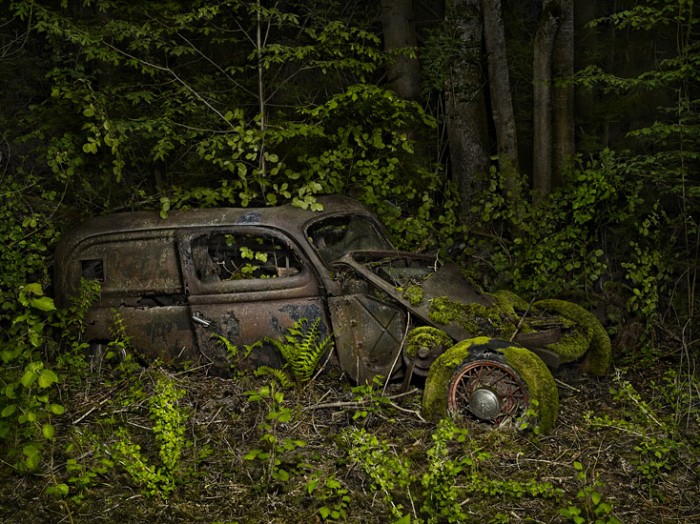 Paradise Parking de Peter Lippmann