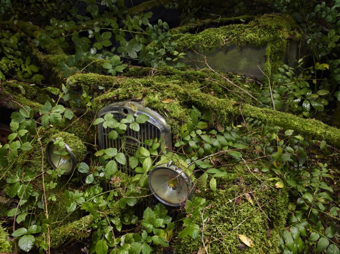 Paradise Parking de Peter Lippmann