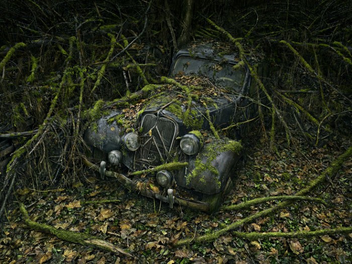 Paradise Parking de Peter Lippmann