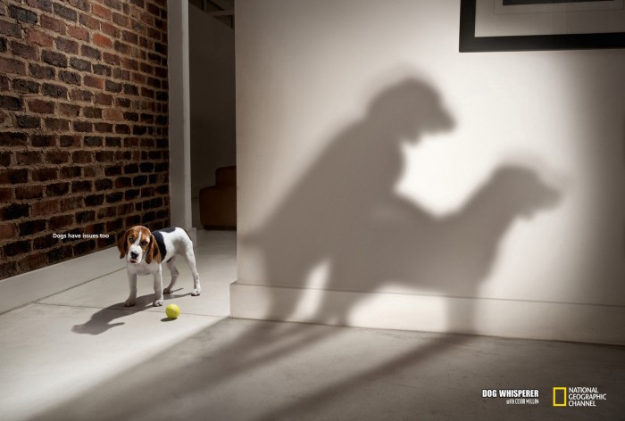 Parents - Dogs have issues too