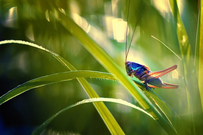 Easy Rider © Magdalena Wasiczek