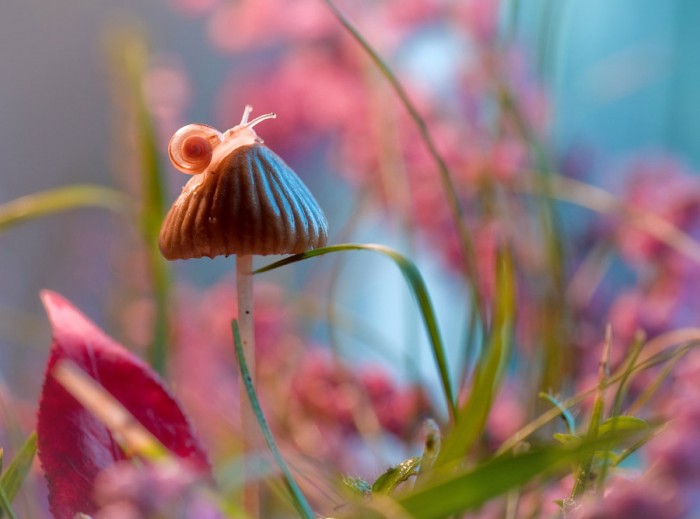 © Magdalena Wasiczek