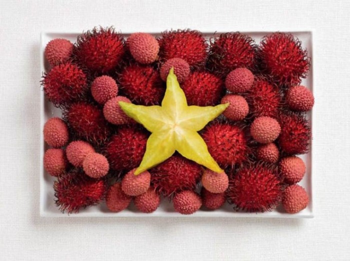 Vietnam Flag