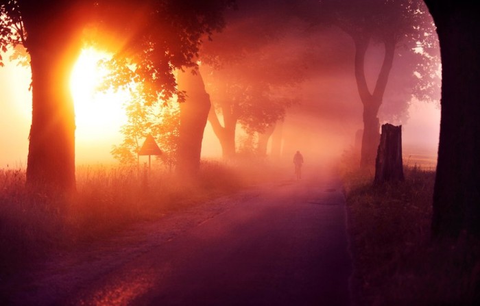 And there's a light © Aleksandra Wydrych / Zenibyfajnie