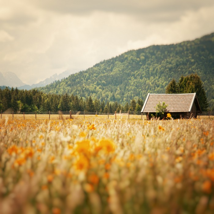 Summer days ©Daniel Benderwald