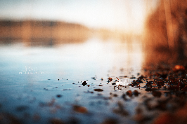 ©Daniel Benderwald
