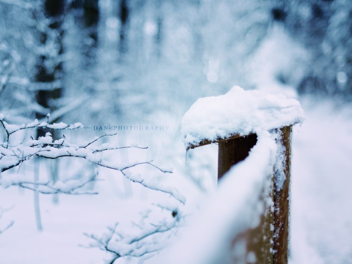 Winter nights ©Daniel Benderwald