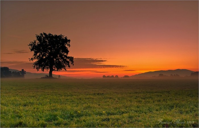 Morgenstimmung @Friedrich Beren