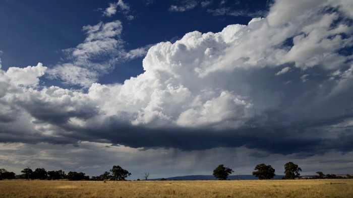 Chasing the Storm (4)