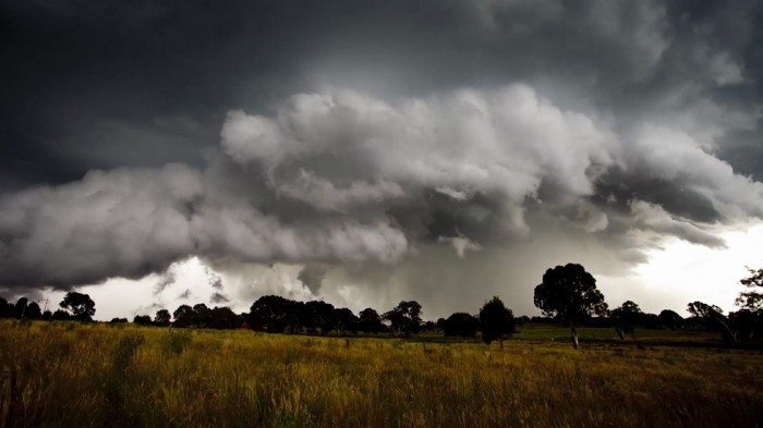 Chasing the Storm (5)