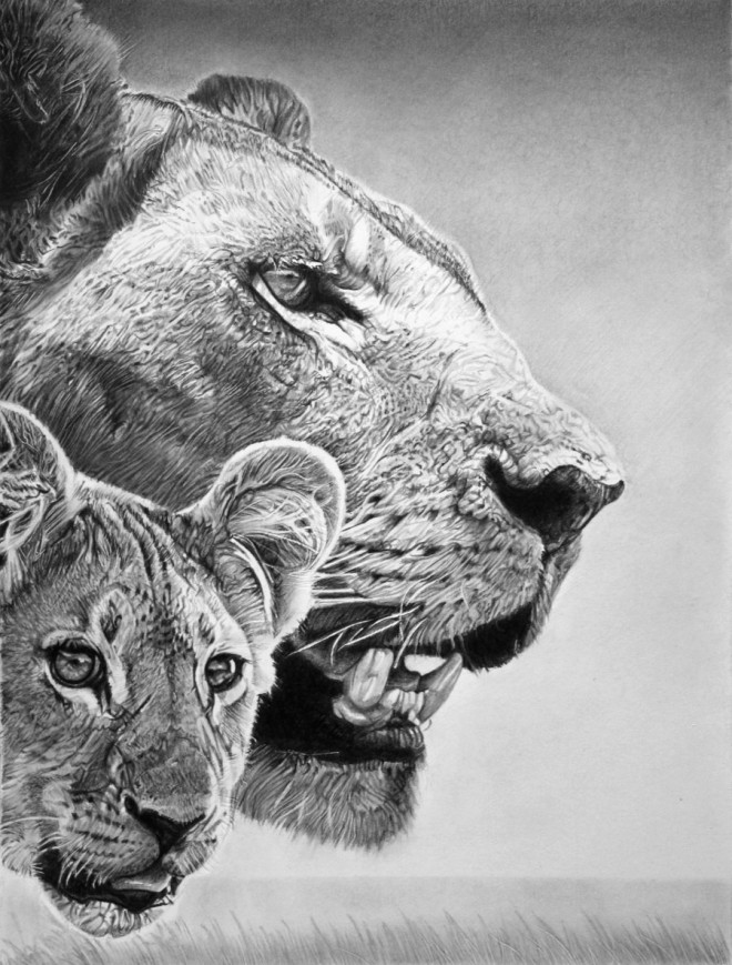 Simba and Sarabi Franco Clun