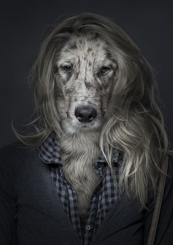 Underdogs - Sebastian Magnani 63375462