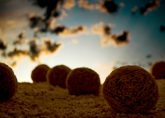 Bales Of Shredded Wheat ©Ernie Button