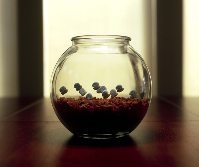 Cereal Bowl ©Ernie Button