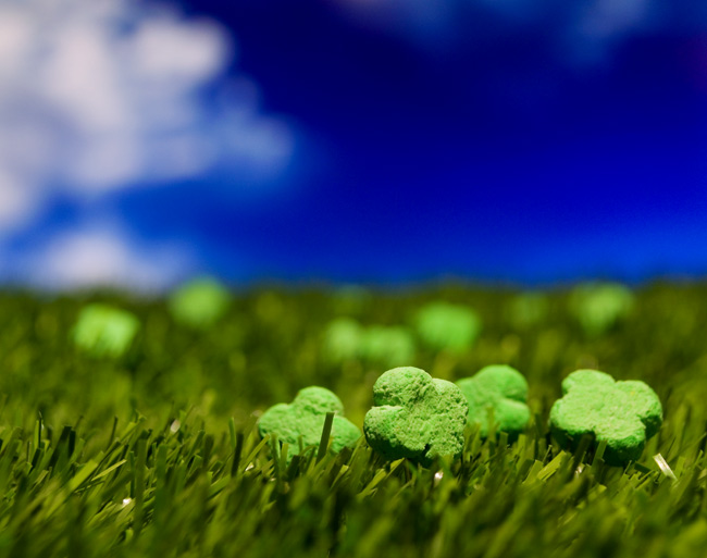 Clover Patch ©Ernie Button