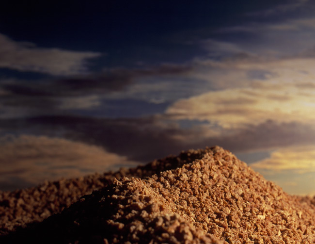Grape Nuts Dune #1 ©Ernie Button