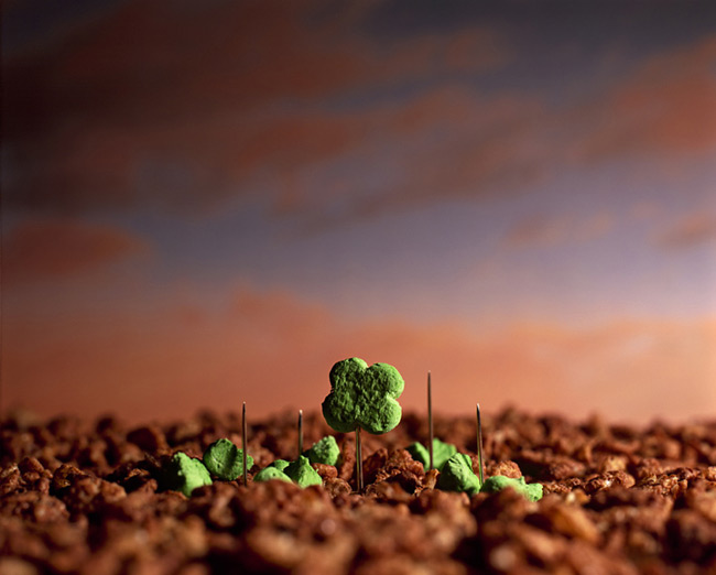 Pink Clouds And Green Clovers ©Ernie Button