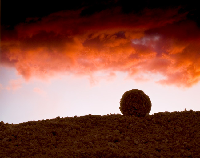 Shredded Wheat At Dusk ©Ernie Button