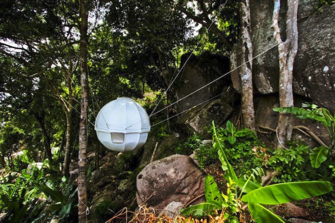 Tente Cocoon Tree