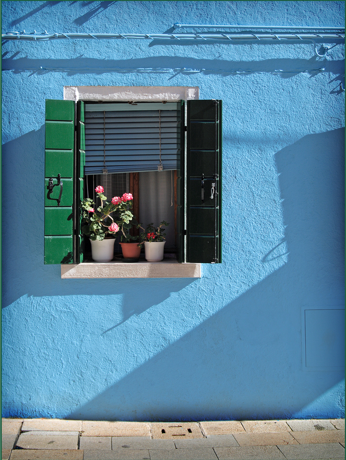Window display ©Gary Dixon