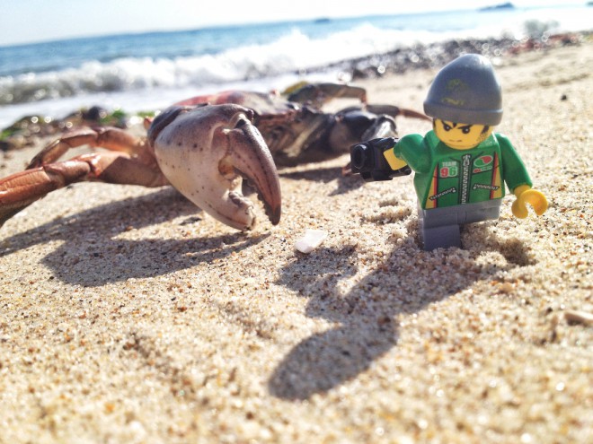 Risk Assessment - Legography