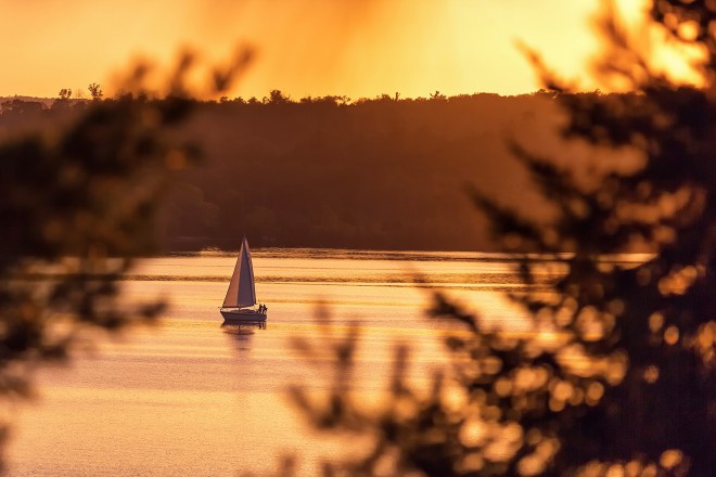 Sailboat Through The Pines - Greg Ness