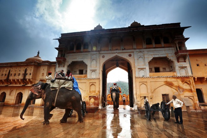 The entrance of elephants