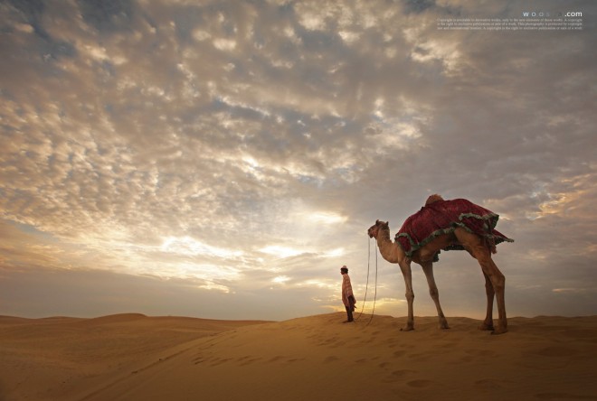 The desert of the morning calm